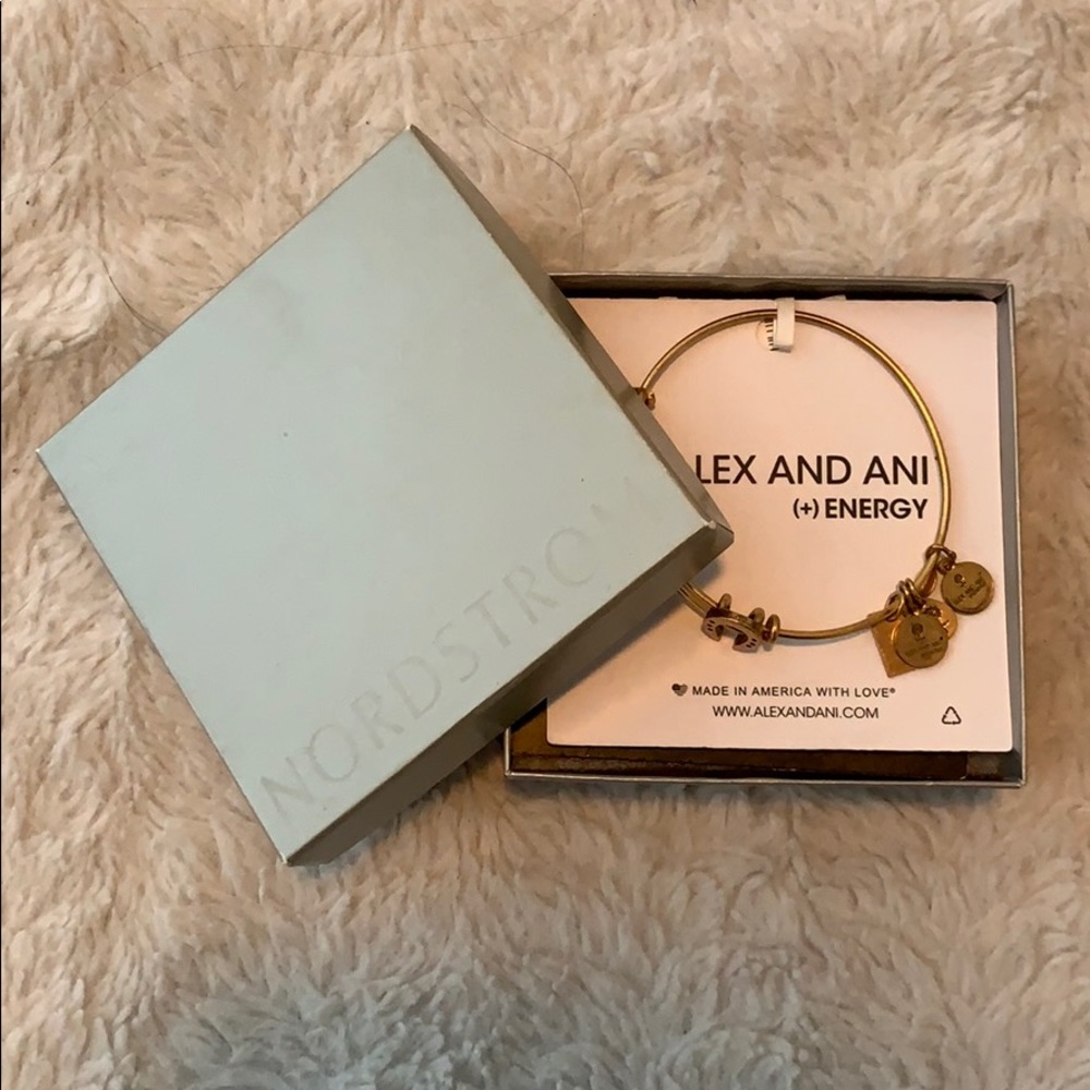 Alex and Ani Horseshoe Bracelet Gold/Bronze